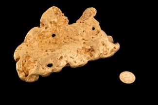 Mossgreen will auction the “Fair Dinkum” gold nugget weighing 2720 grams and carrying a catalogue estimate of $200,000-$220,000 at their rooms in Armadale on 19 May. Discovered in Victoria near Wedderburn earlier this year, it is one of the most significant nuggets finds since the Hand of Faith in 1980. 